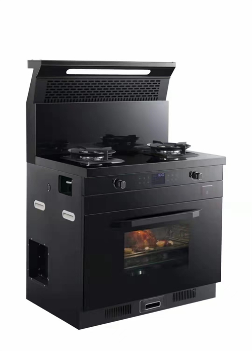 国内灶燃气,热水器,烟机,电热水器,消毒柜,环保灶,亿翔龙集团,国内厨具,厨房用品,帅运来,智荣好太太